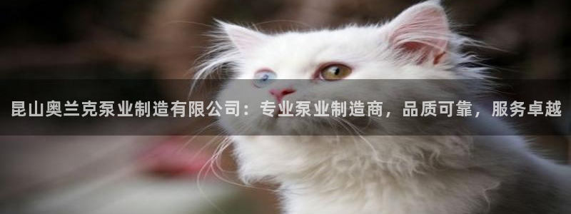 天天彩神welcome：昆山奥兰克泵业制造有限公司：专业泵业制造商，品质可靠，服务卓越