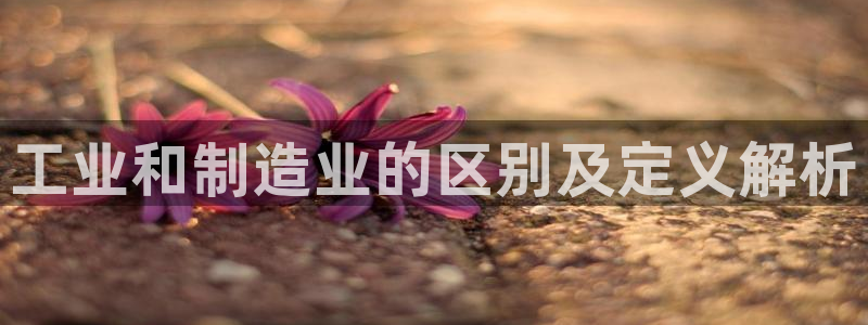 彩神8下载安卓版-彩神8(可提现)官网版1.0.0：工业和制