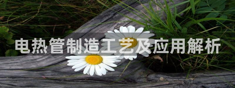 彩神v8下载app5.0