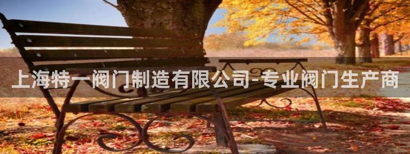 彩神广告有限公司