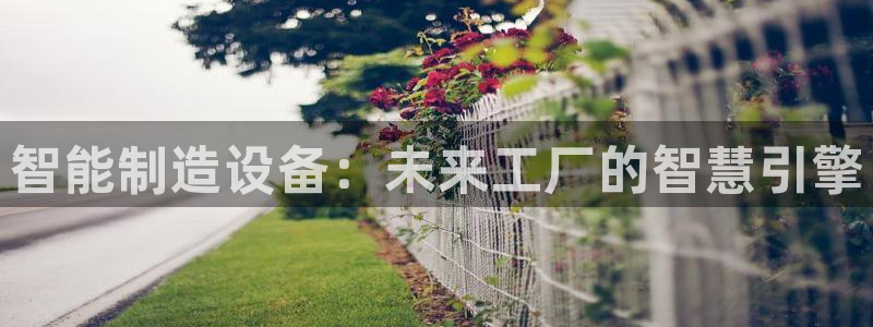 彩神v8手机客户端下载：智能制造设备：未来工厂的智慧引擎