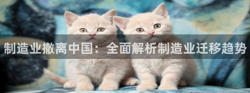 彩神v8iii：制造业撤离中国：全面解析制造业迁移趋势
