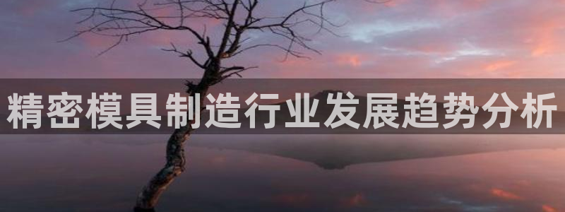 彩神v8官网版：精密模具制造行业发展趋势分析