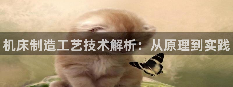 彩神是什么平台