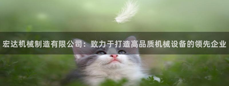 彩神iv能赚钱吗