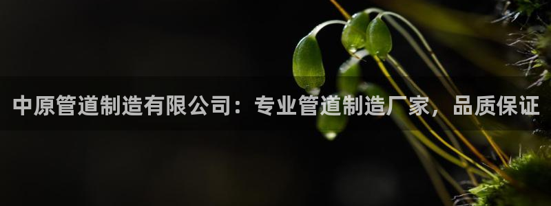 彩神v1官网