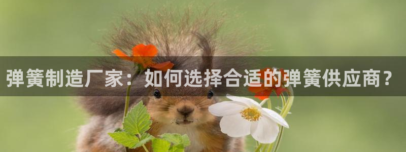 彩神v秘聊号码