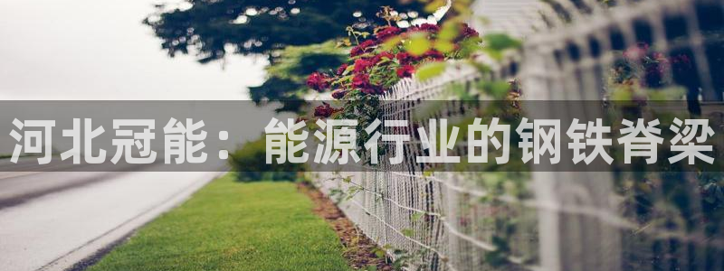 彩神Vll