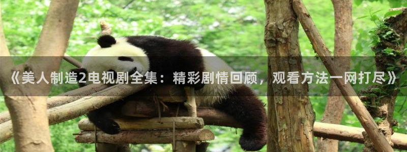 彩神v8手机客户端下载