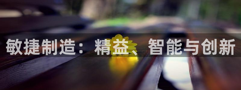 彩神是怎样一个平台赚钱的：敏捷制造：精益、智能与创新