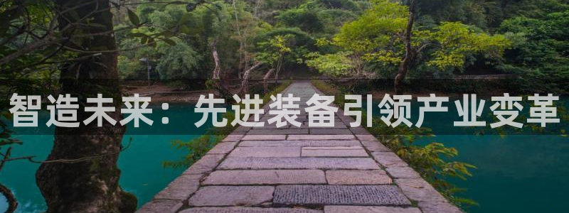 彩神VII官方版