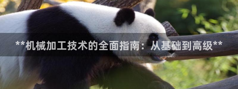 彩神平台之间是什么关系