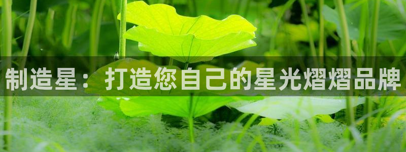 彩神v8是一个什么平台