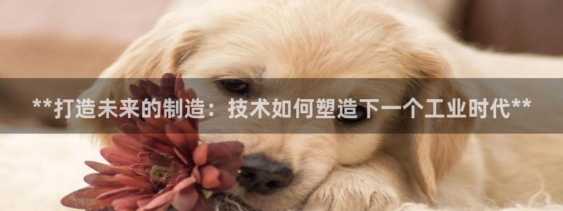 彩神v8购彩大厅登