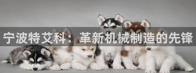 彩神ix官网是哪个公司的