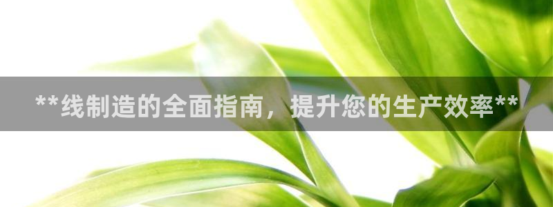 彩神平台是什么套路