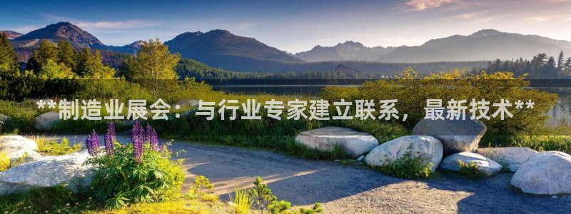 彩神vl购彩大厅
