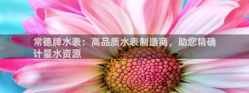 彩神VI首页：常德牌水表：高品质水表制造商，助您精确
计量水