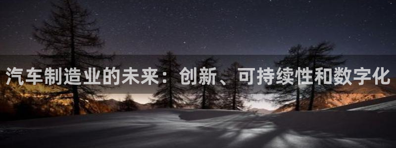 彩神v8几个版本：汽车制造业的未来：创新、可持续性和数字化