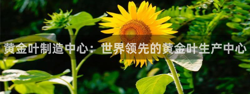 彩神争霸官方下载2017