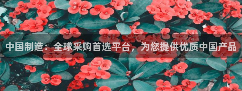 下载彩神乐发V：中国制造：全球采购首选平台，为您提供优质中国