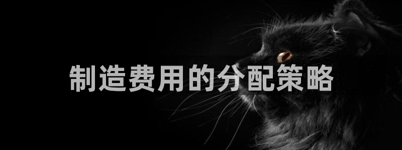 彩神vll官网-最新版app下载