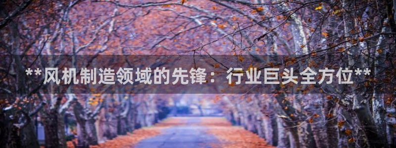 彩神是正规平台吗