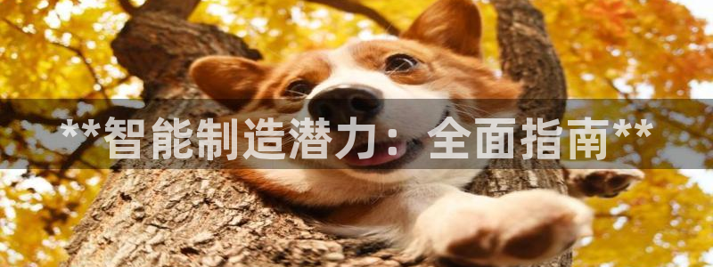 下载彩神争霸谁与我争锋