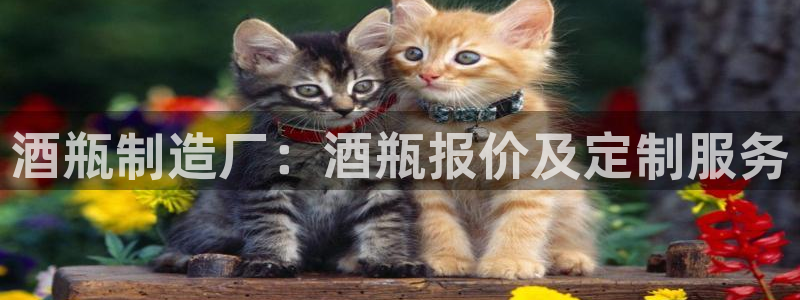 彩神v8几个版本