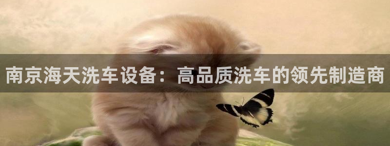 彩神ix平台：南京海天洗车设备：高品质洗车的领先制造商