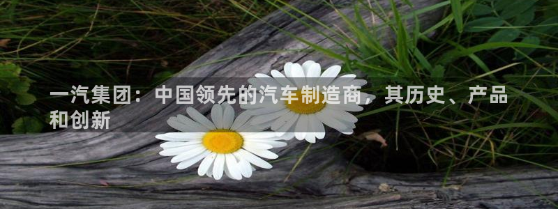 彩神vi官网版：一汽集团：中国领先的汽车制造商，其历史、产品
和创新