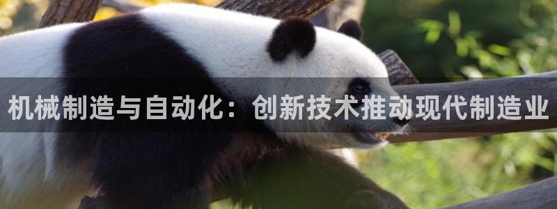 彩神vlll(中国)百度百科：机械制造与自动化：创新技术推动现代制造业