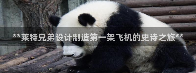 彩神v|：**莱特兄弟设计制造第一架飞机的史诗之旅**
