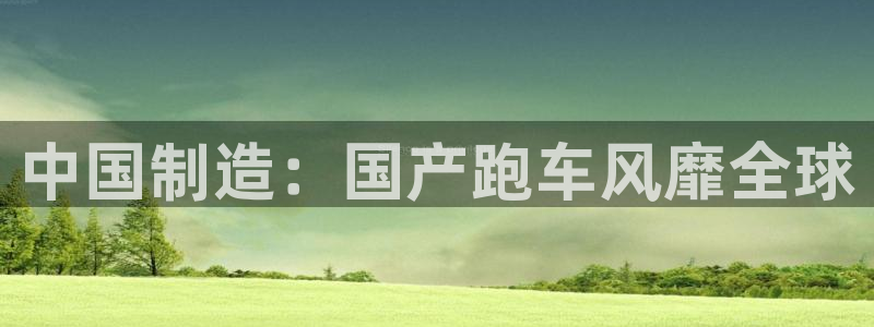 彩神ix可靠吗：中国制造：国产跑车风靡全球