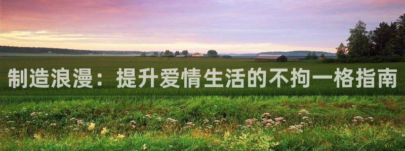 在彩神网输了六万多怎么拿回来：制造浪漫：提升爱情生活的不拘一格指南