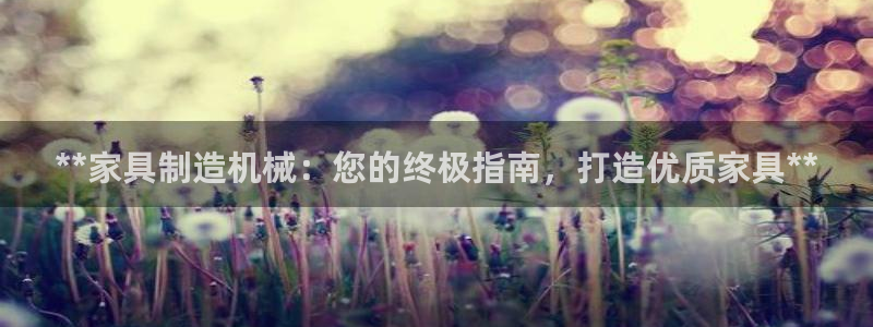 彩神vll首页企业文化：**家具制造机械：您的终极指南，打造优质家具**