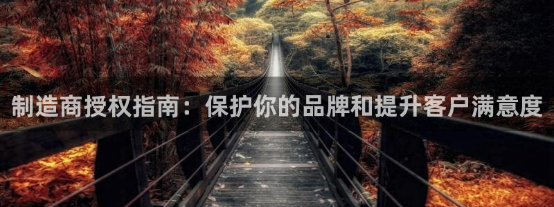 彩神客服电话：制造商授权指南：保护你的品牌和提升客户满意度