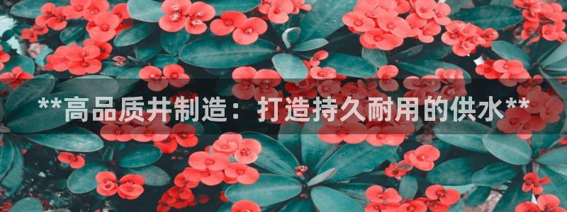 彩神大发官网