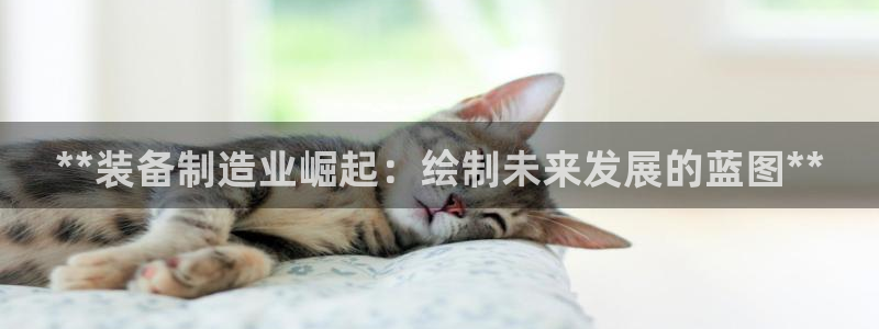彩神v秘聊号码
