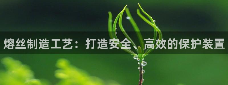彩神v8官网版：熔丝制造工艺：打造安全、高效的保护装置