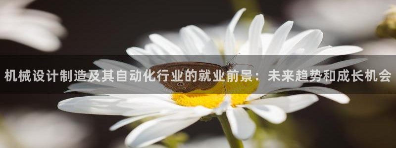 彩神ix可靠吗