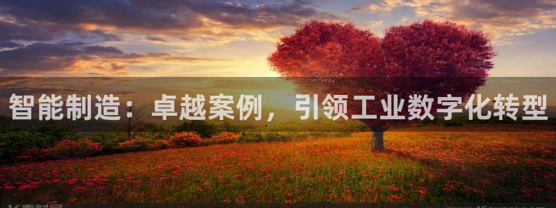 彩神VII购彩中心：智能制造：卓越案例，引领工业数字化转型