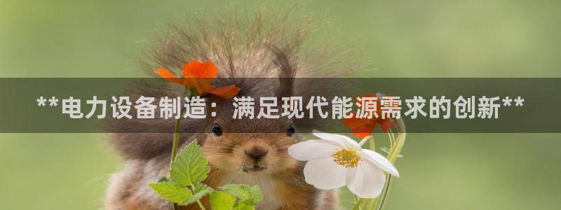 彩神8官网500：**电力设备制造：满足现代能源需求的创新**