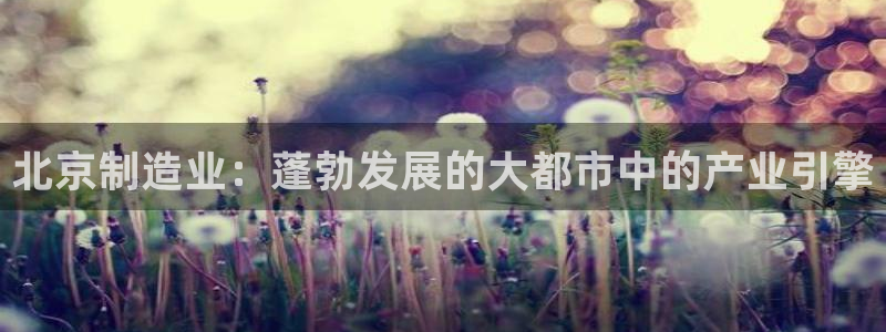 彩神 好 平台：北京制造业：蓬勃发展的大都市中的产业引擎