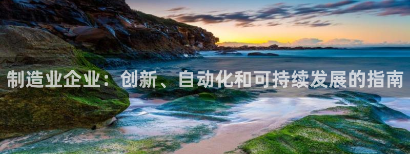 彩神争霸老平台：制造业企业：创新、自动化和可持续发展的指南