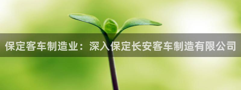 彩神app能挣到钱吗：保定客车制造业：深入保定长安客车制造有限公司