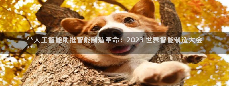 彩神邀请码:00-00-3267：**人工智能助推智能制造革命：2023 世界智能制造大会
**