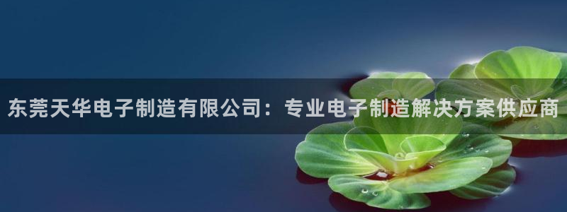 彩神 好 平台：东莞天华电子制造有限公司：专业电子制造解决方案供应商