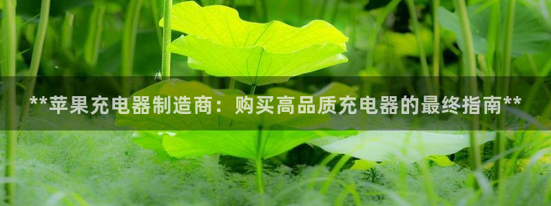 彩神app能挣到钱吗