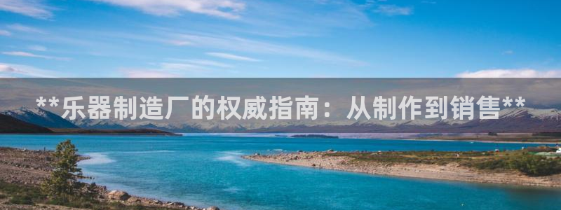 彩神大发官网：**乐器制造厂的权威指南：从制作到销售**
